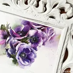 水彩--银莲花 - 高清图片，堆糖，美图壁纸兴趣社区