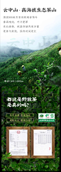 2020新茶正宗安溪铁观音茶叶特级浓香古法乌龙茶散装春野茶兰花香-tmall.com天猫