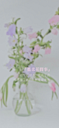 温柔花间事