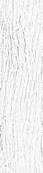 BarkMossyFull003_AO_HIRES