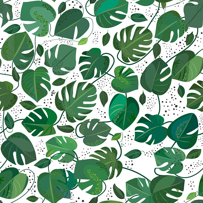 monstera, pattern : ...