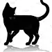Silhouette Cat Pet Animal
