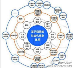 VVVVVivian采集到data diagram