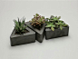 Triangle Concrete Pot  set of 6 by roughfusion on Etsy, $135.00