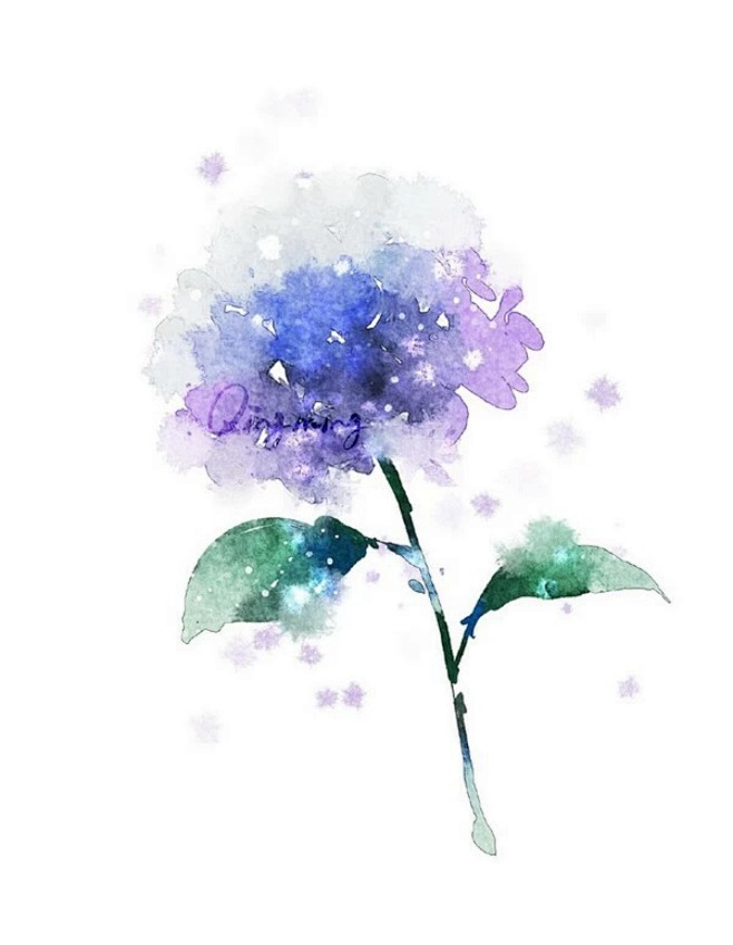花卉