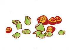 手绘葱和辣椒作料高清模板免费下载-趣麦麦图