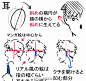 头部五官及手的画法参考~（byみじんコ王国，P站id=642630）