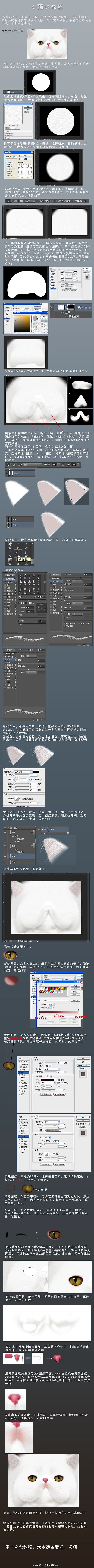 PS打造毛茸茸小猫