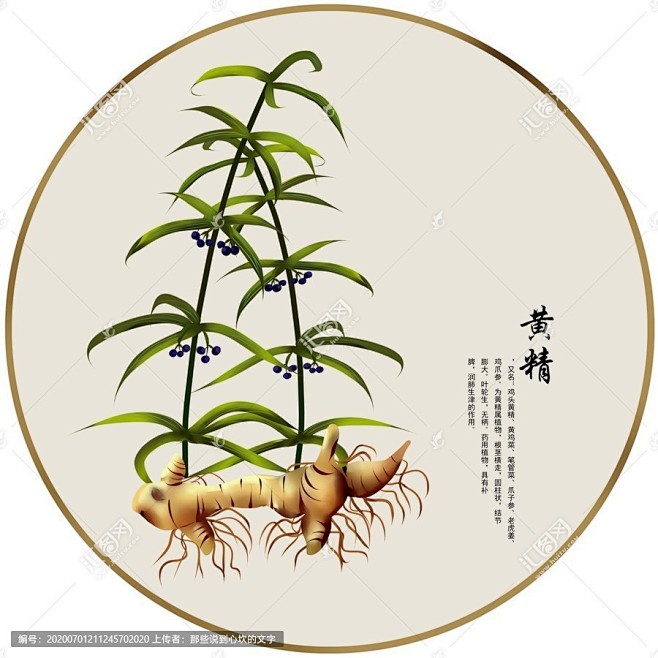 黄精