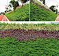 边坡绿化修复自然生态 蜂巢约束系统助推城市美丽升级 ——凤凰网房产广州