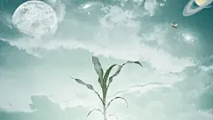 1920x1080自然风景桌面壁纸