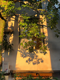 又又又啊采集到风景图