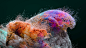 Ailsa Bay: The Science of Taste :: Behance