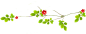 树枝绿叶免抠素材 PNG