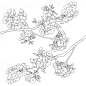 各式花卉花朵叶子线稿上色稿手稿集║图片来源公众号—旭旭素材║32种日漫风格花与叶线稿
