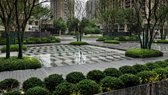 黎柒子采集到植物空间