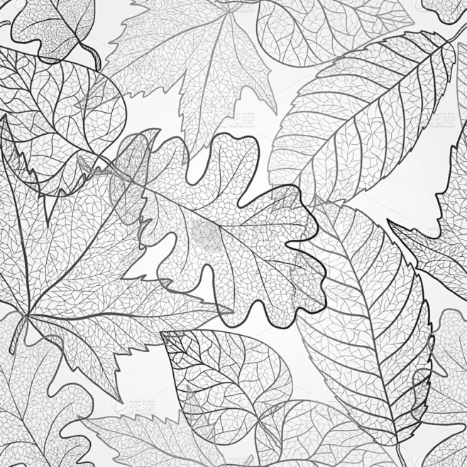 Autumn transparent maple leaves pattern background-花瓣网