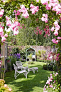 Rose Arbour: 