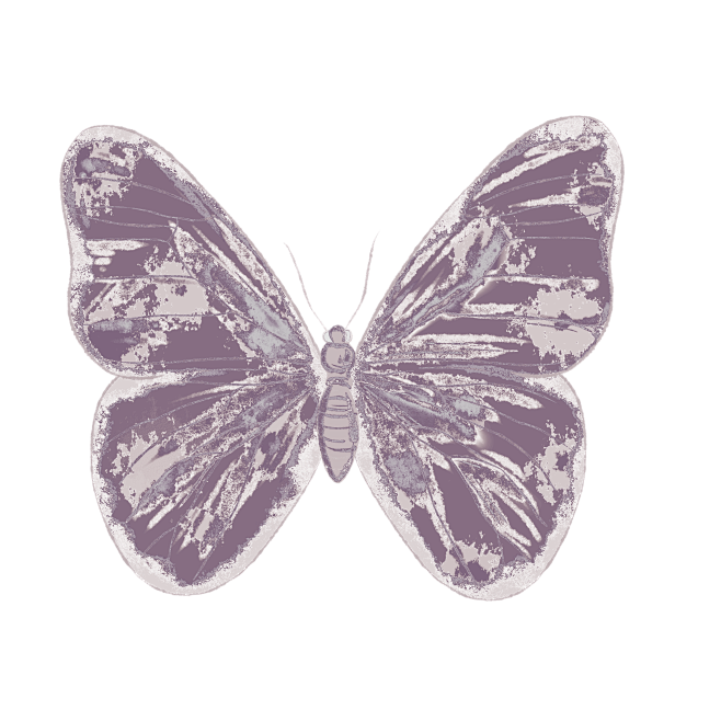 自制酸性蝴蝶