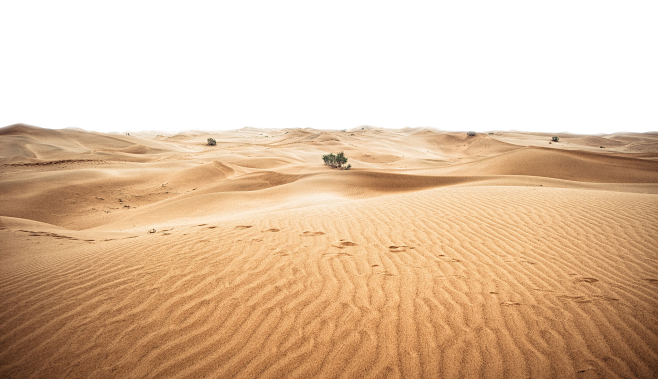 沙漠  沙堆  沙摊