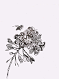 花 线描的搜索结果_百度图片搜索
