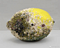 美国艺术家Kathleen ryan
用各种宝石模仿水果腐烂的状态