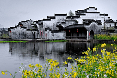 圆点o采集到风景