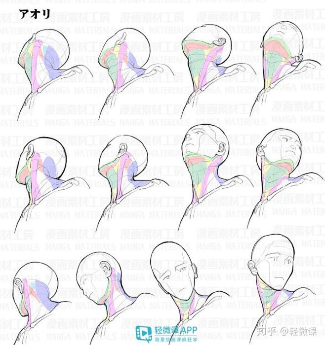 【绘画素材】不会画人体？这100张高清素...