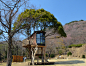 日本建筑师小林崇的树屋（1）——higashi izu

  
  
  
建筑画报:

小林崇是一位自学成才的木匠和建筑设计师，他在日本设计建造了120座住宅，他的每个项目都有一个共同的目标——消解人与自然的边界。1993年，建筑师小林崇首次被树屋概念所吸引，最早的项目是围绕一棵树建造的小咖啡吧，靠近小林崇位于原宿的二手服装店，现在还在使用。自此开始，小林崇和他的团队 treehouse people 用回收的木材进行再利用，创造了一系列的设计建造方法，用树形结构在树枝结构上寻求平衡，以避免阻碍树木正常