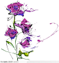 梦幻花纹信纸—手绘紫色玫瑰花花朵花瓣