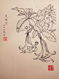 叶志军先生的钢笔白描花卉作品