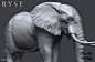 Ryse Elephant, Bruno Câmara : Ryse Elephant by Bruno Câmara on ArtStation.