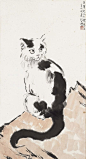 《猫》 徐悲鸿