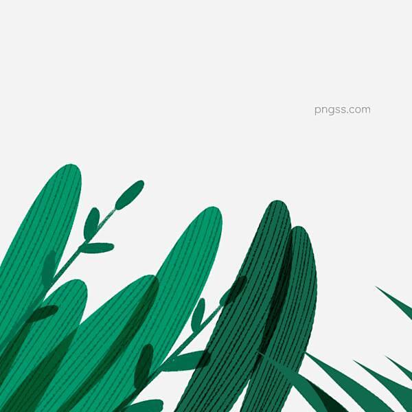 绿叶植物树叶草装饰图片大小2000x20...