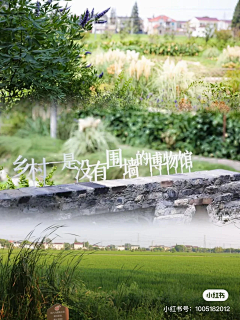 位移25采集到新农村建设