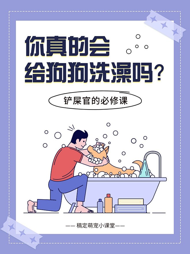 宠物知识科普小红书封面