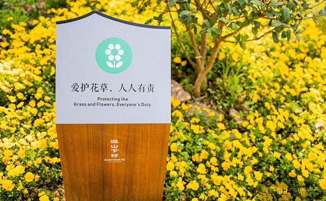 河上镇美丽乡村 - 景区小镇 - 杭州盛...
