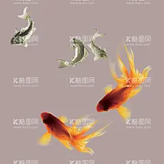 国潮锦鲤素材    - 源文件下载【酷图网】手绘锦鲤,锦鲤,国潮锦鲤,古典锦鲤,古风锦鲤,中国风锦鲤,锦鲤插画,锦鲤素材,中国风,夏日素材,夏天,鲤鱼跃龙门,幸运鲤