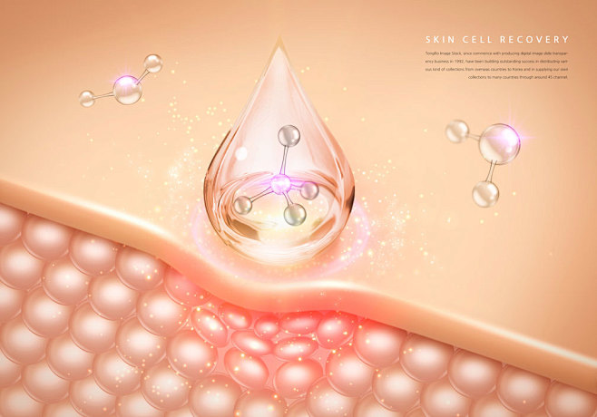 皮肤细胞修复护理海报设计韩国素材[psd...