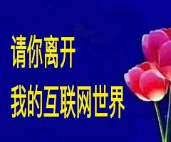 请离开我的互联网世界，谢谢 
#中老年表情包# 
#沙雕熊猫表情包# ​​​​
