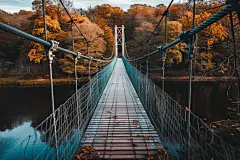 吊桥丛林穿越探秘
