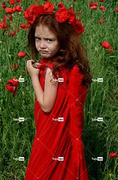 脸 罂粟花 天使 花壁纸 红色的 叶片 红发 场地 自然 花