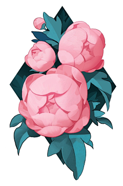 Emmanuel★quot;采集到植物