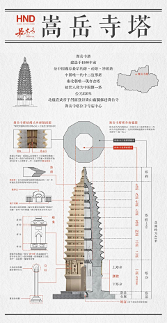 绛紫檀采集到图谱
