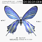 X'Diptera:[觥⁸]B⁶⁴/M⁶⁴ (512變體-截取)
Dabeiyuzhou: 03:00am 07.25 2020
#数据合成昆虫# ​​​​
