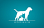 veterinaire 狗 猫 兔子 标志设计 商标设计  图标 图形 标志 logo 国外 外国 国内 品牌 设计 创意 欣赏