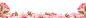 251a03c7-19-7