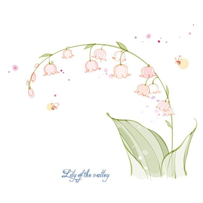 铃兰花
