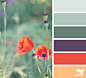 { color garden } image via: @tangledgarden