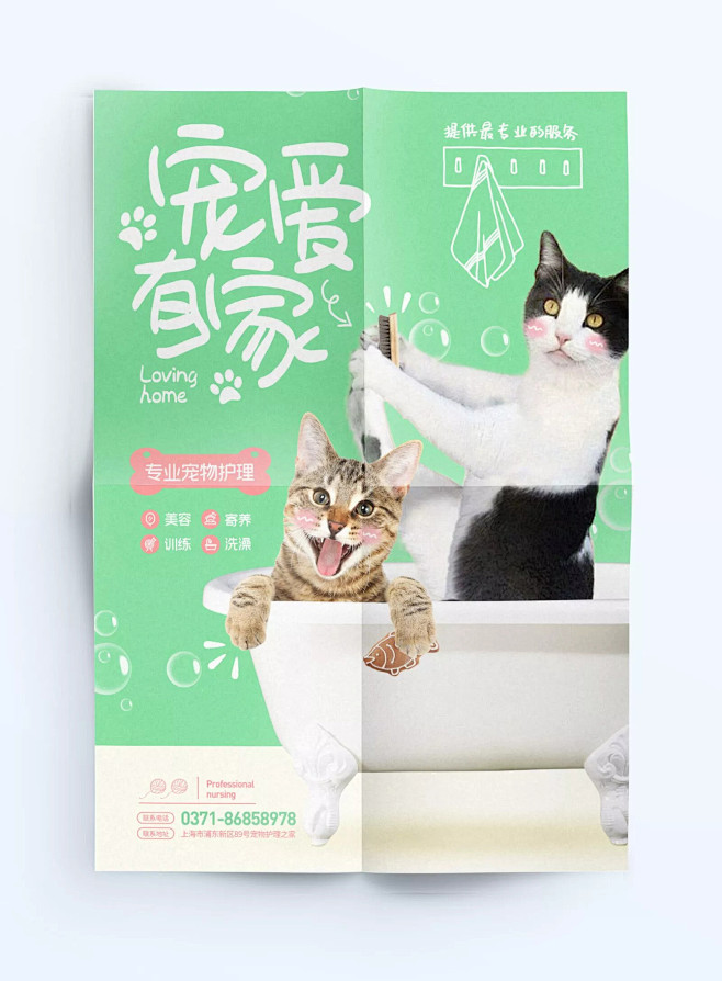 可爱风格萌宠海报版式设计【排版】诗人星火...